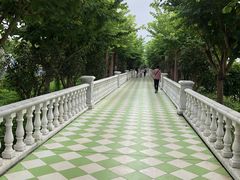 -百万葵园