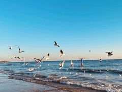 -金梦海湾浴场