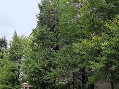 -东京国立博物馆