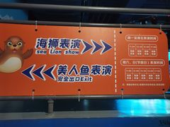 -石家庄海洋公园