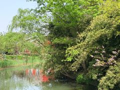 -梁鸿国家湿地公园