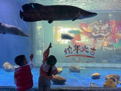 -顺德南宏海立方海洋公园