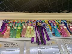 -猫冇咖·家门口的撸猫馆(大融城店)
