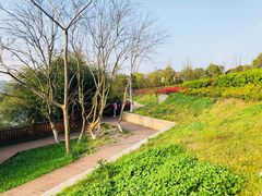 -余姚四明湖开元名都度假酒店·夏威夷西餐厅