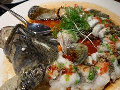 -大树餐厅(益田假日店)