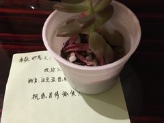 -碧桂园凤凰城酒店(南京店)