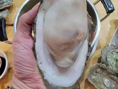 -土蚝·高压锅生蚝(百姓美食街店)