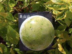 藻蓝白柚牛油果酸奶-吴山山·椰子酸奶(天河南店)