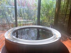 -春晖园度假酒店温泉