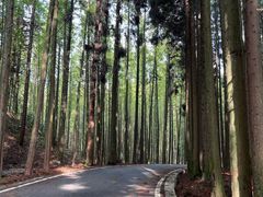 -山王坪喀斯特国家生态公园
