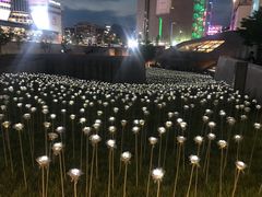 -神仙雪浓汤(明洞店)