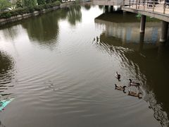 -平望服务区·停车场