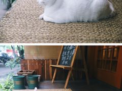 -慕咖啡(宽窄巷子店)
