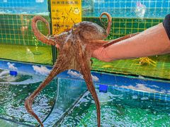 -坛南湾阿强农家乐.海鲜大排档老字号(福州地标美食店)