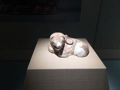-宁夏博物馆