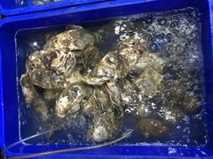 -QQ海鲜餐厅