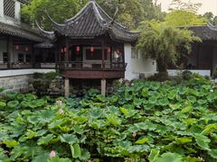 -上海醉白池公园