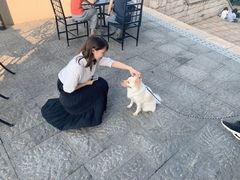 -南沙游艇会·大兵船餐厅