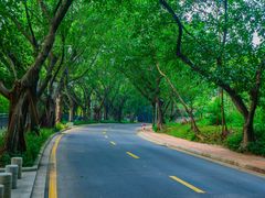 -南国桃园旅游度假区