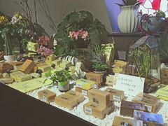 -良友书坊(安徽路店)