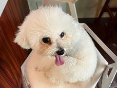 -默迹咖啡馆