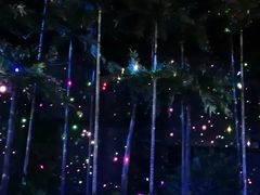 -三亚红色娘子军演艺公园景区
