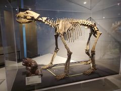 -北京周口店北京人遗址博物馆