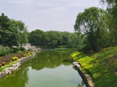 -大兴滨河森林公园