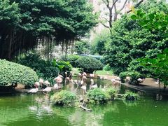 -九龙公园
