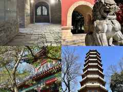 -灵谷景区