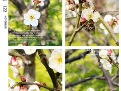 -新虹桥中心花园