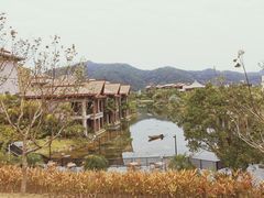 -广州都喜泰丽温泉度假酒店
