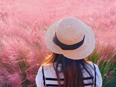 -艾溪湖湿地公园