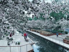 -海棠花溪(元大都城垣遗址公园)