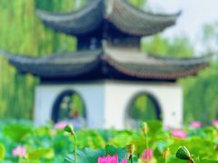 -陶然亭公园