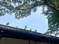-苏州文庙(姑苏区)