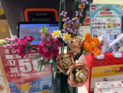 -乐高授权专卖店(中关村领展店)