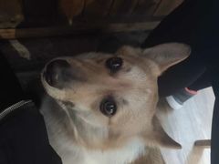 -阿木舂记·特色小吃(平江路店)