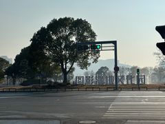 -长兴太湖图影湿地文化园