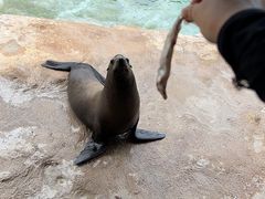 -珠海长隆海洋王国