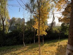 -西安汉城湖景区