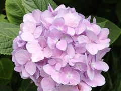 -常州古运河南大街文化旅游区-人民公园