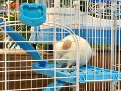 -龟与熊猫宠物公园(南坪店)