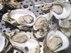 桑拿生蚝-飞尝蚝·顺德菜·鱼生(顺德总店)