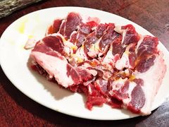 牛肋条-鞍山戰