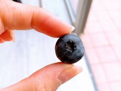 -大连熟食品交易中心