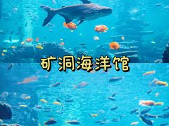 -长鹿旅游休博园