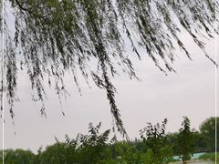 -大兴滨河森林公园