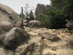 -南山植物园