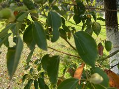 -艾溪湖湿地公园